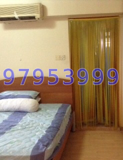 Blk 453 Choa Chu Kang Avenue 4 (Choa Chu Kang), HDB Executive #19666282